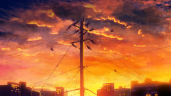 Rule 34 | bird, building, cable, city, cloud, cloudy sky, commentary request, dusk, highres, no humans, orange sky, orange theme, original, outdoors, power lines, scenery, sky, sunset, utility pole, y y (ysk ygc)