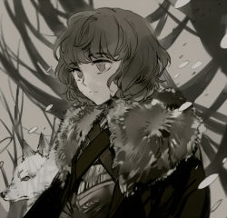 Rule 34 | 1boy, a song of ice and fire, animification, bob cut, bran stark, brown eyes, brown hair, cape, fur trim, male focus, monochrome, muted color, short hair, snow, solo, summer (a song of ice and fire), suou (sdurorhr), wavy hair, wolf