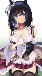 Rule 34 | 1girl, animal ears, bare shoulders, black hair, black thighhighs, blue eyes, bodice, bow, breasts, choker, cleavage, closed mouth, detached sleeves, ear ribbon, eishin flash (umamusume), frills, hand on own chest, highres, horse ears, horse girl, horse tail, juliet sleeves, kakumayu, large breasts, long sleeves, looking at viewer, medium hair, puffy sleeves, seiza, sitting, skindentation, sleeveless, smile, solo, tail, thighhighs, umamusume, wide sleeves