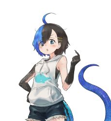 Rule 34 | 1girl, ahoge, ari hinoko, black eyes, black hair, blue eyes, blue hair, blush, commentary request, cowboy shot, eyes visible through hair, grey hoodie, hair ornament, hairclip, hand on own hip, heterochromia, highres, hood, hood down, hoodie, lizard tail, looking at viewer, monster girl, multicolored hair, open mouth, original, scales, short shorts, shorts, simple background, solo, split-color hair, standing, sweatdrop, tail, wakao ruri, white background