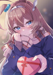 Rule 34 | 1girl, absurdres, ahoge, animal ears, blue eyes, blurry, blurry background, blush, box, brown hair, buttons, coat, commentary request, double-breasted, ear ornament, gift, hair between eyes, hair ornament, headband, heart-shaped box, heavy breathing, highres, holding, holding gift, horse ears, horse girl, incoming gift, long hair, looking at viewer, mihono bourbon (umamusume), mola mola, school uniform, solo, tracen winter coat, umamusume, upper body, valentine, winter clothes, winter coat, winter uniform
