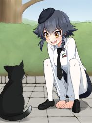 Rule 34 | 1girl, anzio school uniform, arm support, belt, beret, black belt, black cat, black footwear, black hair, black skirt, blue sky, braid, brown eyes, bush, cat, commentary request, day, dress shirt, emblem, girls und panzer, hat, highres, loafers, long sleeves, looking at another, miniskirt, open mouth, outdoors, pantyhose, partial commentary, pepperoni (girls und panzer), pleated skirt, ruka (piyopiyopu), school uniform, shadow, shirt, shoes, short hair, side braid, skirt, sky, smile, solo, squatting, tree, v-shaped eyebrows, white pantyhose, white shirt