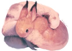 Rule 34 | animal focus, bad id, bad pixiv id, rabbit, commentary request, creature, closed eyes, fluffy, manino (mofuritaionaka), no humans, original, signature, simple background, white background