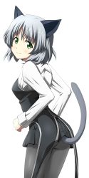 Rule 34 | 1girl, animal ears, ass, black pantyhose, blush, cat ears, cat tail, chokotto, from behind, green eyes, looking back, military, military uniform, pantyhose, sanya v. litvyak, short hair, silver hair, skirt, smile, solo, strike witches, tail, uniform, world witches series