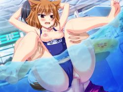 Rule 34 | 1boy, 1girl, animal ears, animated, animated gif, blush, bouncing breasts, breasts, breasts out, brown eyes, brown hair, censored, clothed sex, dog ears, dog girl, dog tail, faceless, faceless male, fang, feet, game cg, hetero, honoo no haramase paidol my star gakuen z, hoshizaki hime, hoshizaki hokuto, indoors, lifting person, mosaic censoring, open mouth, partially submerged, partially underwater shot, penis, pool, pussy, school swimsuit, sex, shorts, small breasts, squeez (artist), swimsuit, tail, thighs, underwater, underwater sex, vaginal, water, yuibi