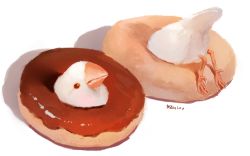 Rule 34 | animal, animal focus, artist name, bad id, bad pixiv id, beak, bird, commentary request, doughnut, food, food focus, java sparrow, manino (mofuritaionaka), no humans, shadow, simple background, talons, white background