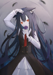 Rule 34 | 0 (znanimo), 1girl, absurdres, animal ears, arknights, black dress, black hair, collared shirt, commentary request, dress, ear piercing, feathers, flower, grey background, hair between eyes, hand up, highres, holding, holding petal, long hair, long sleeves, looking at viewer, necktie, orange eyes, pale skin, petals, piercing, purple flower, purple rose, red necktie, rose, shirt, solo, symbol-only commentary, texas (arknights), white shirt, wolf ears