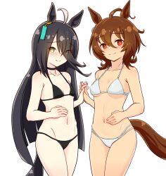 Rule 34 | 2girls, agnes tachyon (umamusume), ahoge, animal ears, bikini, black bikini, black choker, black hair, blush, breasts, bright pupils, brown hair, choker, closed mouth, empty eyes, grey hair, hair between eyes, holding hands, horse ears, horse girl, horse tail, long hair, looking at viewer, manhattan cafe (umamusume), medium hair, multicolored hair, multiple girls, navel, nose blush, pale skin, parted lips, petite, red eyes, side-by-side, simple background, small breasts, smile, special cat, stomach, swimsuit, tail, three quarter view, two-tone hair, umamusume, very long hair, white bikini, white pupils, yellow eyes