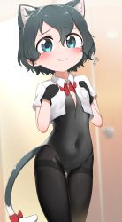 Rule 34 | 1girl, absurdres, animal ears, black hair, black leotard, black pantyhose, blue eyes, blurry, blurry background, blush, bow, bowtie, cat ears, cat tail, chis (js60216), closed mouth, commentary request, covered navel, cowboy shot, cropped shirt, depth of field, flying sweatdrops, frown, hands on own chest, highres, indoors, kaban (kemono friends), kemono friends, kittysuit, leotard, locker, locker room, looking at viewer, nontraditional playboy bunny, pantyhose, partial commentary, red bow, red bowtie, shirt, short hair, solo, standing, tail, thigh gap, thighband pantyhose, thighs, wavy hair, white shirt, wing collar