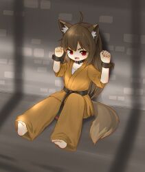 Rule 34 | 1girl, ahoge, animal ear fluff, animal ears, barefoot, belt, black belt, black collar, black wrist cuffs, brown hair, brown pants, chinese commentary, collar, commentary request, dougi, fang, feet, fox ears, fox girl, full body, highres, indoors, karate, kuma-bound, long hair, martial arts belt, open mouth, original, pants, red eyes, restrained, sitting, skin fang, soles, solo, tail, tearing up, teeth, toes, wrist cuffs