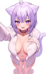 Rule 34 | 1girl, :3, :d, absurdres, ahoge, animal ear fluff, animal ears, arm up, bow, bow panties, breasts, cat ears, cat girl, cat tail, collar, collared shirt, deaver, fang, feet out of frame, from above, hand on own chest, highres, hololive, large breasts, long sleeves, looking at viewer, medium hair, nekomata okayu, nekomata okayu (oversized shirt), no bra, open clothes, open mouth, open shirt, panties, purple bow, purple collar, purple eyes, purple hair, purple panties, selfie, shirt, simple background, smile, solo, standing, tail, tail raised, underwear, virtual youtuber, white background, white shirt