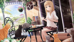 Rule 34 | 1girl, animal, blonde hair, blouse, blue sky, blush, book, bra strap, bracelet, brown eyes, brown skirt, cake, cat, chair, choker, cookie, cup, day, flower, food, fruit, garden, highres, hikaru ga chikyuu ni itakoro, holding, holding cup, icing, jewelry, lantern, leaf, lens flare, looking at viewer, miniskirt, necklace, open book, outdoors, palm tree, parted lips, plant, plate, potted plant, puffy short sleeves, puffy sleeves, shikibu honoka, shirt, short sleeves, sitting, skirt, sky, sliding doors, smile, solo, spoon, strawberry, sunimu, sunlight, swept bangs, table, teacup, too many, too many cats, tree, veranda, white shirt, window, wooden floor, wool, yarn, yarn ball