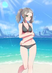 Rule 34 | 1girl, absurdres, beach, bikini, black bikini, blush, breasts, brown hair, cleavage, day, feet out of frame, green eyes, groin, highres, kamidan, looking at viewer, medium breasts, medium hair, outdoors, parted lips, revision, shania (xenoblade), solo, swimsuit, twintails, xenoblade chronicles (series), xenoblade chronicles 3