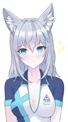 Rule 34 | 1girl, animal ear fluff, animal ears, blue archive, blue eyes, blush, breasts, cat ears, cleavage, closed mouth, collarbone, cross hair ornament, dalgam12, eyelashes, frown, hair between eyes, hair ornament, highres, long hair, looking at viewer, medium breasts, shiroko (blue archive), short sleeves, silver hair, simple background, solo, straight hair, upper body, white background