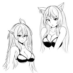 Rule 34 | &gt;:), 2girls, alternate costume, animal ear fluff, animal ears, antenna hair, arknights, bare shoulders, bikini, breasts, cat ears, cleavage, collarbone, commentary, cropped torso, earrings, english commentary, eyelashes, gavial (arknights), greyscale, highres, jewelry, kentumatsu, large breasts, long hair, looking at viewer, monochrome, multiple girls, parted lips, pointy ears, simple background, skyfire (arknights), smile, swimsuit, upper body, v-shaped eyebrows, white background