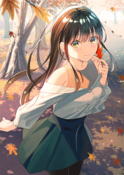 Rule 34 | 1girl, autumn leaves, bad id, bad pixiv id, bare shoulders, black hair, black pantyhose, brown eyes, brown shirt, closed mouth, commentary request, day, green skirt, hair between eyes, hand up, highres, holding, holding leaf, koh rd, leaf, leaning forward, long sleeves, looking at viewer, off-shoulder shirt, off shoulder, original, outdoors, pantyhose, pleated skirt, puffy long sleeves, puffy sleeves, shirt, skirt, sleeveless, sleeveless shirt, smile, solo, tree, white shirt
