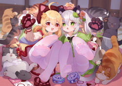 Rule 34 | 2girls, :d, :o, animal ears, animal hands, blonde hair, blush, cat, cat ears, cross-shaped pupils, dress, elf, fake animal ears, feet, female focus, flower, full body, genshin impact, gloves, gradient hair, green dress, green eyes, green hair, hair between eyes, hair flower, hair ornament, hat, highres, klee (genshin impact), leaf hair ornament, long hair, long sleeves, looking at viewer, md5 mismatch, multicolored hair, multiple girls, nahida (genshin impact), no shoes, open mouth, pantyhose, paw gloves, paw print soles, pet food, pointy ears, red dress, red eyes, resolution mismatch, side ponytail, smile, soles, source smaller, symbol-shaped pupils, thighband pantyhose, toes, tsubasa tsubasa, white hair, white pantyhose
