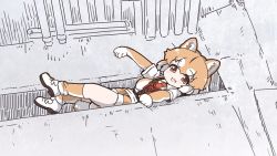 Rule 34 | 1girl, :3, animal ears, blush, brown gloves, brown socks, brown vest, collared shirt, commentary request, dog (shiba inu) (kemono friends), dog ears, dog girl, dog tail, elbow gloves, extra ears, fang, gloves, harness, hole, japari symbol, kemono friends, light brown hair, looking at viewer, multicolored hair, necktie, orange eyes, photo-referenced, red necktie, shirt, shoes, short hair, short sleeves, sneakers, socks, solo, t-shirt, tail, tanaka kusao, two-tone gloves, two-tone hair, two-tone legwear, two-tone vest, vest, white footwear, white gloves, white hair, white shirt, white socks, white vest