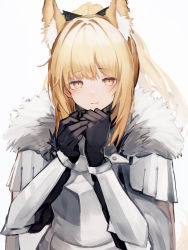 Rule 34 | 1girl, absurdres, animal ear fluff, animal ears, arknights, armor, black gloves, blemishine (arknights), blonde hair, blush, commentary request, extra ears, fur-trimmed armor, fur trim, gloves, highres, horse ears, horse girl, horse tail, knight, light smile, long hair, looking at viewer, plate armor, ponytail, revision, simple background, solo, tab head, tail, white background, yellow eyes