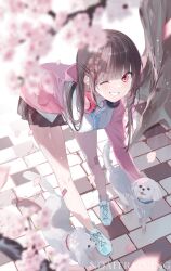 1girl black_hair blurry blurry_foreground cherry_blossoms collared_shirt dog falling_petals headphones headphones_around_neck highres jacket long_hair long_sleeves looking_at_viewer miwano_rag one_eye_closed open_clothes open_jacket open_mouth original outdoors petals pink_eyes pink_jacket shirt shoes skirt smile solo spring_(season) white_shirt