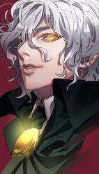 Rule 34 | 1boy, black cape, cape, collared shirt, commentary request, edmond dantes (fate), fate/grand order, fate (series), grey hair, hair between eyes, highres, lips, looking at viewer, male focus, parted lips, red background, shirt, simple background, smile, solo, tenobe, upper body, white shirt, wing collar, yellow eyes