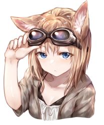Rule 34 | 1girl, animal ears, blonde hair, blue eyes, commentary request, cropped torso, expressionless, eyes visible through hair, goggles, goggles on head, hand on goggles, highres, looking at viewer, original, short sleeves, simple background, solo, sukemyon, white background