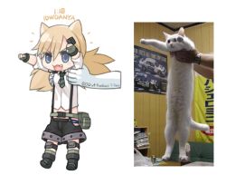 Rule 34 | 1girl, :3, animal ears, blonde hair, blue eyes, blue panties, boots, cat ears, collared shirt, commentary, fang, fanny pack, fingerless gloves, girls&#039; frontline, gloves, green footwear, grey gloves, hair ornament, hairclip, idw (girls&#039; frontline), lifting person, longcat (meme), meme, necktie, open mouth, panties, photo-referenced, photo inset, ran system, shirt, short shorts, shorts, sleeves rolled up, smile, suspender shorts, suspenders, tsurime, twintails, underwear, v-shaped eyebrows, white shirt