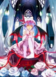 Rule 34 | 1girl, alternate costume, bat wings, blue hair, coffin, dress, elbow gloves, feet, female focus, finger to mouth, flower, foreshortening, gloves, hakoiri nekohime, hat, looking at viewer, red eyes, remilia scarlet, rose, short hair, sitting, solo, thighhighs, touhou, transparent wings, white gloves, white thighhighs, wings