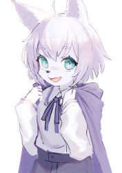 Rule 34 | 1girl, :d, ahoge, animal ears, aqua eyes, blouse, cape, fang, female focus, furrification, furry, furry female, highres, hood, hooded cape, lolicom, open mouth, original, purple cape, shirt, shirt tucked in, simple background, smile, solo, white background, white hair, wolf ears, wolf girl