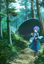 Rule 34 | 1girl, adapted costume, azumi (madogiwa bocchi seki), blue hair, boots, commentary request, cross-laced footwear, day, hakama, hakama skirt, high heel boots, high heels, holding, holding umbrella, japanese clothes, kimono, lace-up boots, looking at viewer, oil-paper umbrella, one eye closed, outdoors, red eyes, short hair, skirt, smile, solo, tatara kogasa, tongue, tongue out, torii, touhou, tree, umbrella, wide sleeves