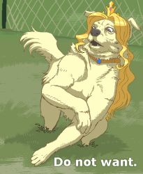 Rule 34 | 4chan, animal focus, blonde hair, blue eyes, chain-link fence, collar, crown, cyber connect 2, dog, english text, fence, grass, little tail bronx, long hair, macro, meme, no humans, oekaki, outdoors, parody, princess, princess terria, tail concerto, tenseiani, what