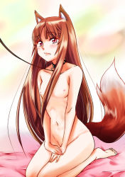 Rule 34 | 00s, 1girl, animal ears, bad anatomy, bad hands, barefoot, bed sheet, blush, brown hair, collar, covering privates, covering crotch, fang, flat chest, holo, leash, lips, long hair, nipples, nude, nude cover, poorly drawn, red eyes, sakayama shinta, seiza, sitting, solo, spice and wolf, tail, toe scrunch, toes, wolf ears, wolf tail