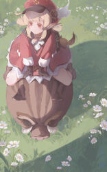 Rule 34 | 1girl, absurdres, black trim, blonde hair, boar, boots, brown footwear, brown scarf, cabbie hat, closed mouth, clover, clover print, daisy, dress, flower, four-leaf clover, from above, genshin impact, gloves, grass, hat, hat feather, highres, klee (genshin impact), legs, meadow, medium hair, red dress, red eyes, red hat, riding, riding animal, scarf, sesshi, sidelocks, sitting, sitting on animal, solo, twintails, wariza, white flower
