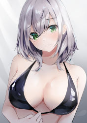 Rule 34 | 1girl, absurdres, bad id, bad pixiv id, bare arms, bare shoulders, bikini, bikini pull, black bikini, blush, breasts, cleavage, closed mouth, clothes pull, collarbone, gradient background, green eyes, grey background, head tilt, highres, hololive, large breasts, looking at viewer, nanashinayuzu mochi, pulling own clothes, shirogane noel, short hair, silver hair, smile, solo, swimsuit, upper body, virtual youtuber