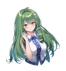 Rule 34 | 1girl, absurdres, blush, breasts, closed mouth, collared shirt, commentary, cropped torso, dobostorte, frog hair ornament, green eyes, green hair, hair ornament, hand up, highres, kochiya sanae, large breasts, long hair, looking at viewer, shirt, simple background, single hair tube, single sidelock, sleeveless, sleeveless shirt, smile, snake hair ornament, solo, touhou, upper body, white background, white shirt
