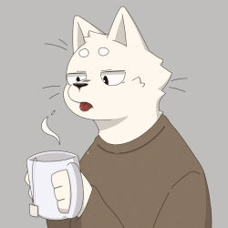 Rule 34 | animal ears, brown sweater, cat, cat day, cat ears, furry, furry male, oonekoh, original, sweater, tea, tongue, tongue out, whiskers, white fur
