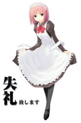 Rule 34 | 00s, 1girl, apron, bow, dasoku sentarou, female focus, full body, hisui (tsukihime), maid, maid apron, maid headdress, mary janes, pantyhose, pink hair, ribbon, shoes, simple background, solo, standing, thighhighs, tsukihime, white background