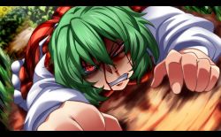 Rule 34 | 1girl, angry, blood, blood on face, clenched teeth, dutch angle, flower, green hair, injury, kazami yuuka, letterboxed, long sleeves, looking at viewer, lying, on ground, on stomach, plaid, plaid skirt, plaid vest, red eyes, ringed eyes, shaded face, shirt, short hair, skirt, skirt set, solo, teeth, touhou, vest, yagami (mukage)