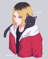 Rule 34 | 1boy, 5600cm, animal, animal on shoulder, blonde hair, brown eyes, cat, cat on shoulder, character name, grey background, haikyuu!!, highres, jacket, kozume kenma, looking at viewer, male focus, multicolored hair, open clothes, open jacket, open mouth, short hair, simple background, standing, twitter username, two-tone hair, upper body