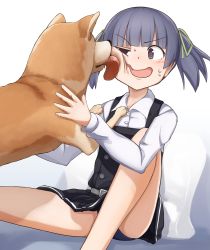 Rule 34 | 1girl, animal, belt, black panties, black skirt, blunt bangs, blush, buttons, collared shirt, commentary request, dog, dress, hair ribbon, highres, kantai collection, licking, licking another&#039;s cheek, licking another&#039;s face, long sleeves, ooshio (kancolle), ooshio kai ni (kancolle), open mouth, panties, pinafore dress, purple eyes, purple hair, ribbon, school uniform, shirt, short twintails, sitting, skirt, sleeveless, sleeveless dress, solo, sweat, sweatdrop, twintails, underwear, white shirt, yotubawatane
