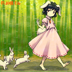 Rule 34 | 1girl, animal ears, arm at side, arm up, bad id, bad pixiv id, bamboo, bamboo forest, barefoot, black hair, brown eyes, carrot, carrot necklace, closed mouth, dress, floppy ears, forest, full body, inaba tewi, jewelry, lowres, meimaru inuchiyo, nature, necklace, outdoors, pendant, pink dress, puffy short sleeves, puffy sleeves, rabbit, rabbit ears, rabbit girl, rabbit tail, red ribbon, ribbon, ribbon-trimmed dress, short hair, short sleeves, smile, solo, standing, sunlight, tail, touhou, walking