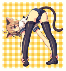 Rule 34 | 1girl, animal ears, bent over, cat ears, cat tail, kimarin, no pants, one-piece swimsuit, original, school swimsuit, solo, spread legs, swimsuit, swimsuit under clothes, tail, thighhighs