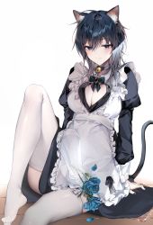 Rule 34 | 1girl, absurdres, animal ear fluff, animal ears, apron, bara (03 bara ), bell, black choker, black dress, black hair, black nails, blue flower, blue hair, blue rose, blush, breasts, cat ears, cat girl, cat tail, choker, cleavage, cleavage cutout, closed mouth, clothing cutout, dress, flower, frilled apron, frills, highres, knee up, large breasts, long sleeves, looking at viewer, maid, medium hair, nail polish, neck bell, original, rose, sitting, solo, tail, thighhighs, thighs, vase, wet, white apron, white background, white thighhighs, yokoyama ishimi