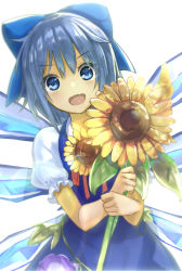 Rule 34 | 1girl, :d, blue dress, blue eyes, blue hair, bow, cirno, dress, fang, flower, hair bow, hidden star in four seasons, ice, ice wings, looking at viewer, minutachi, open mouth, puffy short sleeves, puffy sleeves, short hair, short sleeves, simple background, smile, solo, sunflower, tanned cirno, touhou, white background, wings