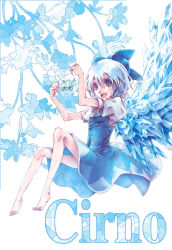 Rule 34 | 1girl, ba, bad id, bad pixiv id, barefoot, blue eyes, blue hair, bow, cirno, embodiment of scarlet devil, feet, frog, frozen, frozen frog, hair bow, ice, matching hair/eyes, short hair, solo, touhou, virginia complex, wings