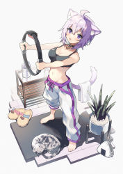 Rule 34 | 1girl, ahoge, animal ear fluff, animal ears, bag, barefoot, black choker, black sports bra, blush, breasts, cat, cat ears, cat girl, cat tail, choker, collar, commentary request, full body, hair between eyes, highres, holding, holding towel, holding with tail, hololive, looking at viewer, medium breasts, navel, negiyan, nekomata okayu, nekomata okayu (1st costume), open mouth, pants, plant, prehensile tail, purple eyes, purple hair, ring-con, ring fit adventure, slippers, unworn slippers, sports bra, stomach, table, tail, temari (nekomata okayu), towel, track pants, tumbler, vase, virtual youtuber, white pants