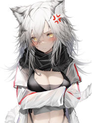 Rule 34 | 1girl, absurdres, anger vein, angry, animal ears, arknights, black scarf, blush, breasts, cleavage, closed mouth, commission, eyes visible through hair, hair between eyes, highres, indra (arknights), long hair, long sleeves, looking at viewer, medium breasts, navel, scar, scar on breasts, scarf, simple background, skeb commission, solo, tab head, tail, tiger ears, tiger tail, white background, white hair, yellow eyes