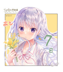 Rule 34 | 1girl, absurdres, blush, collared shirt, commentary request, cropped torso, dress shirt, flower, highres, hiiragi asuka (twinbox), holding, holding flower, long hair, looking at viewer, neck ribbon, parted lips, pink ribbon, purple eyes, ribbon, see-through, shirt, silver hair, solo, sousouman, star (symbol), star in eye, symbol in eye, translation request, twinbox school, two-tone background, upper body, wet, wet clothes, wet shirt, white background, white shirt, yellow background, yellow flower