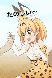 Rule 34 | 10s, 1girl, :d, ^ ^, animal ears, animal print, animated, animated gif, bare shoulders, blonde hair, bow, bowtie, cat ears, cat tail, closed eyes, drooling, elbow gloves, eyebrows, gloves, grass, kemono friends, leopard print, open mouth, penis, penis awe, plant, saliva, serval (kemono friends), skirt, smile, solo focus, tail, tail wagging, waero, yellow eyes