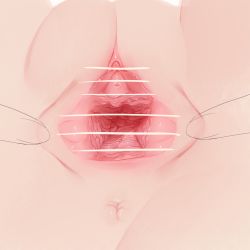 Rule 34 | 1girl, absurdres, anus, censored, cleft of venus, clitoral hood, clitoris, close-up, female focus, highres, original, pussy, solo, spread legs, spread pussy, torifue, urethra